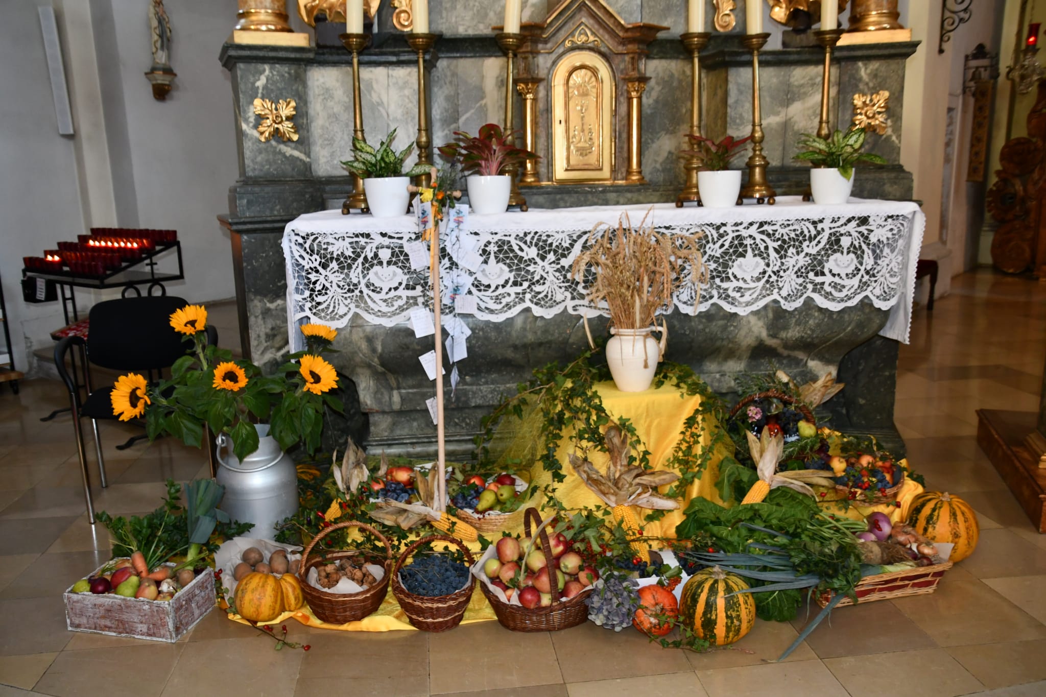 Klicken, um zu vergrößern